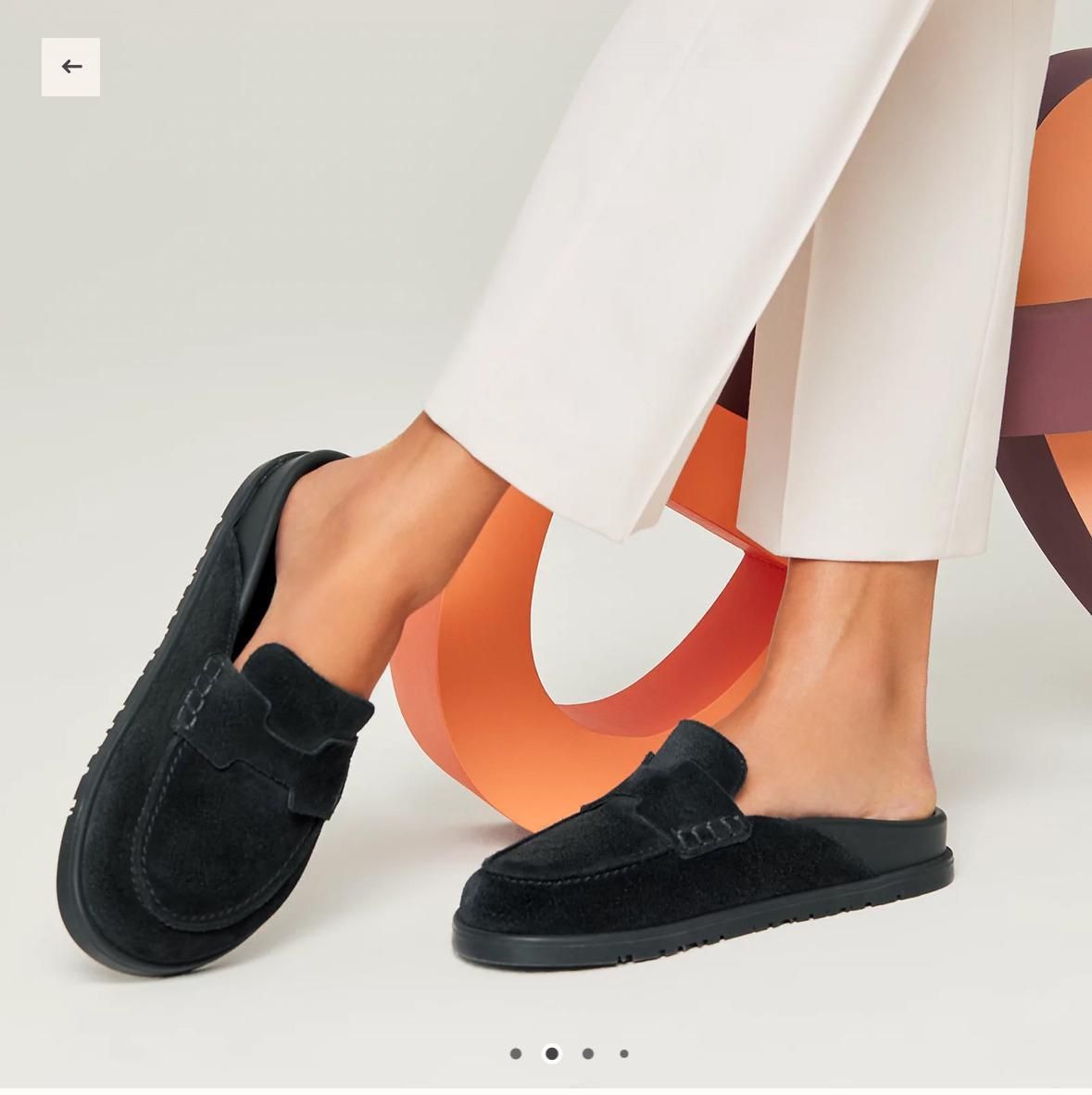 IMG-20251109-WA0170-1.jpg Hermes go mule - الصورة 1