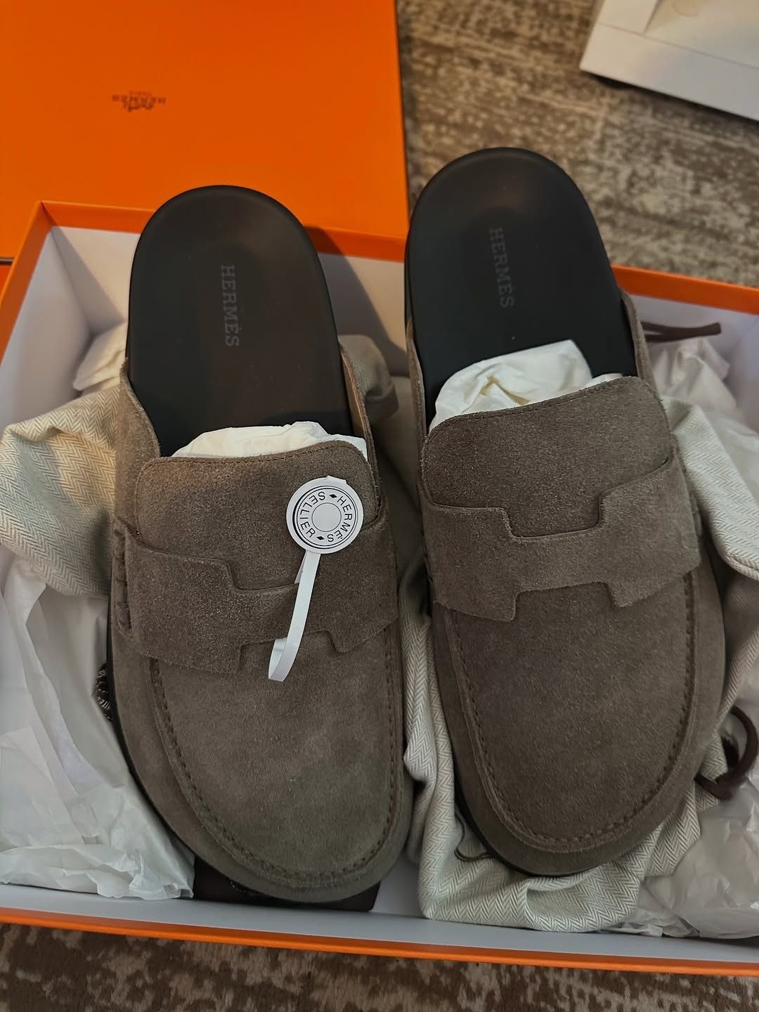 IMG-20251109-WA0177-1.jpg Hermes go mule - الصورة 1