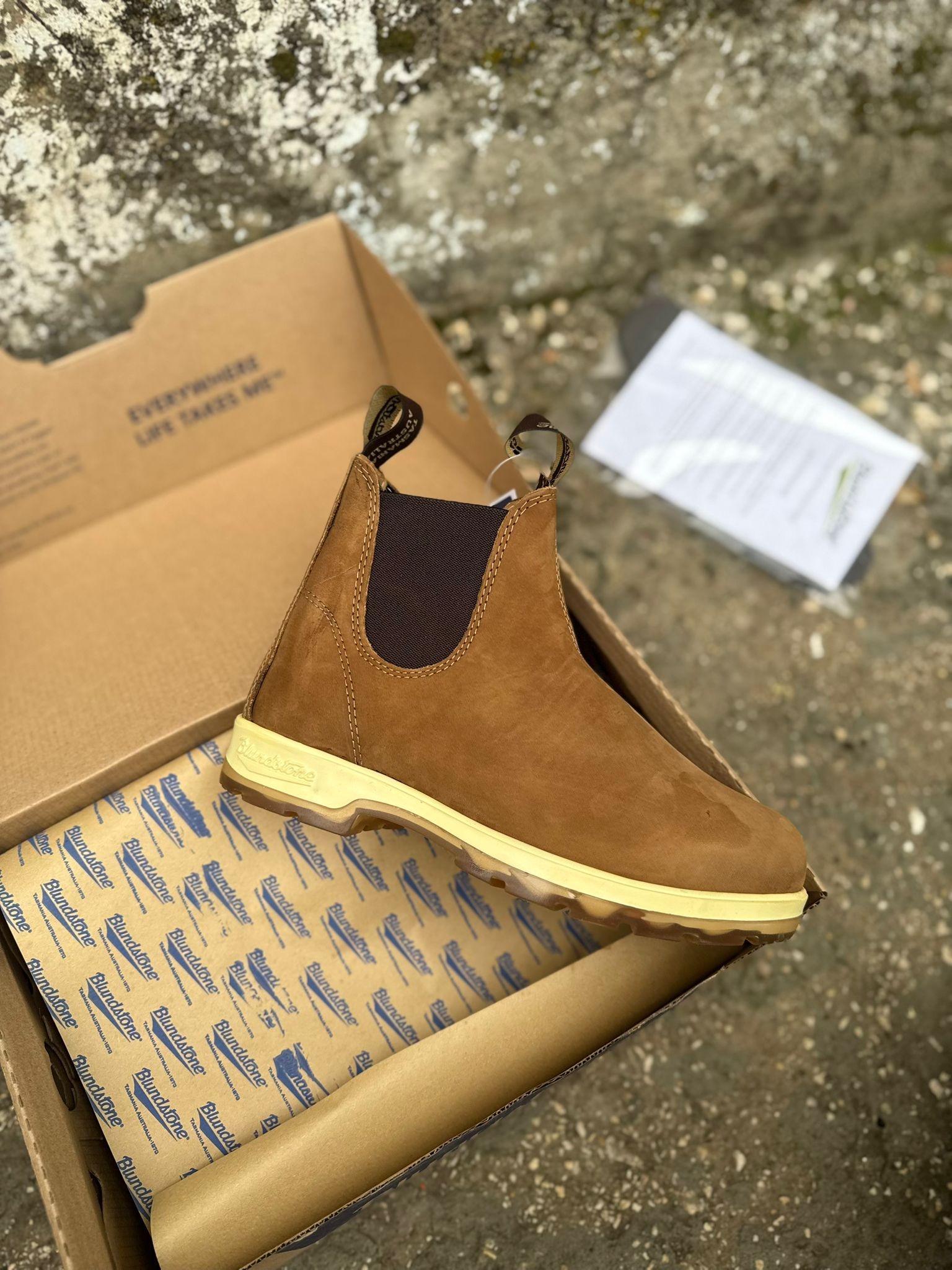 IMG-20251118-WA00051-1.jpg בלנדסטון – תמונה 1