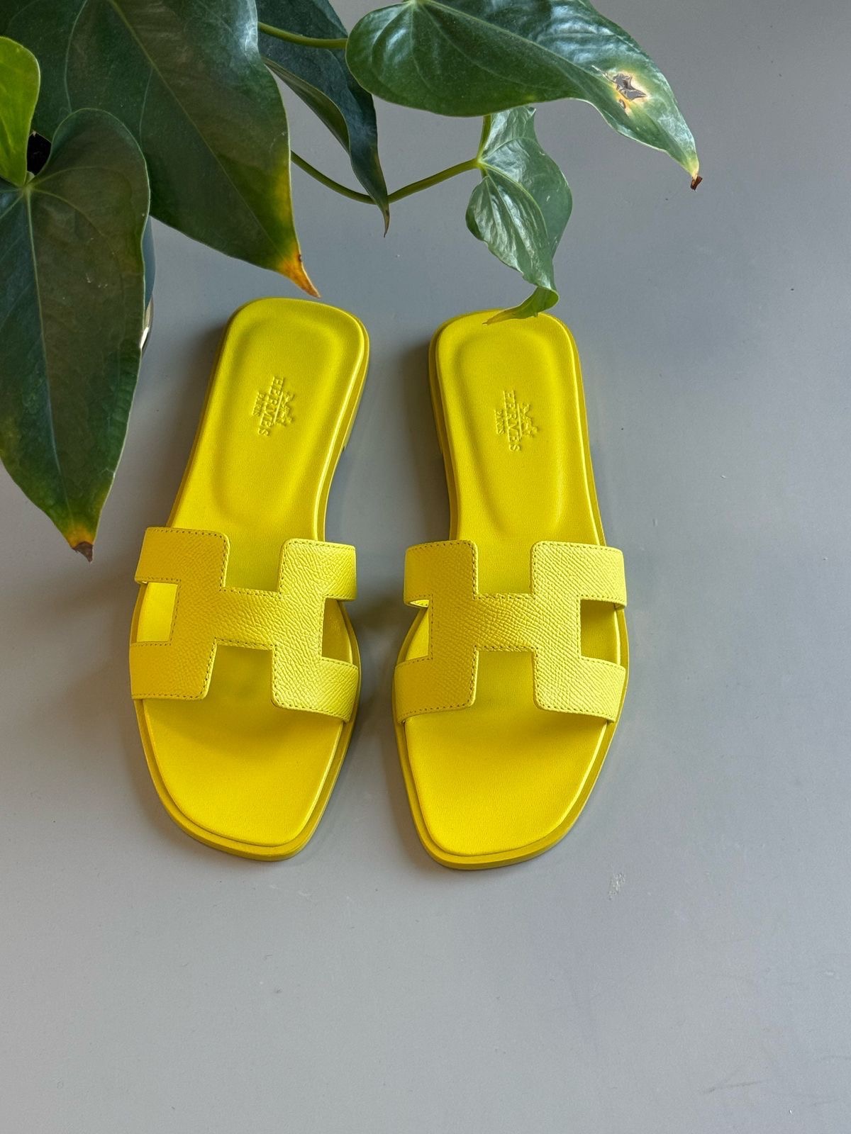 IMG_0562-1.jpg Hermes Oran Slipper - الصورة 1