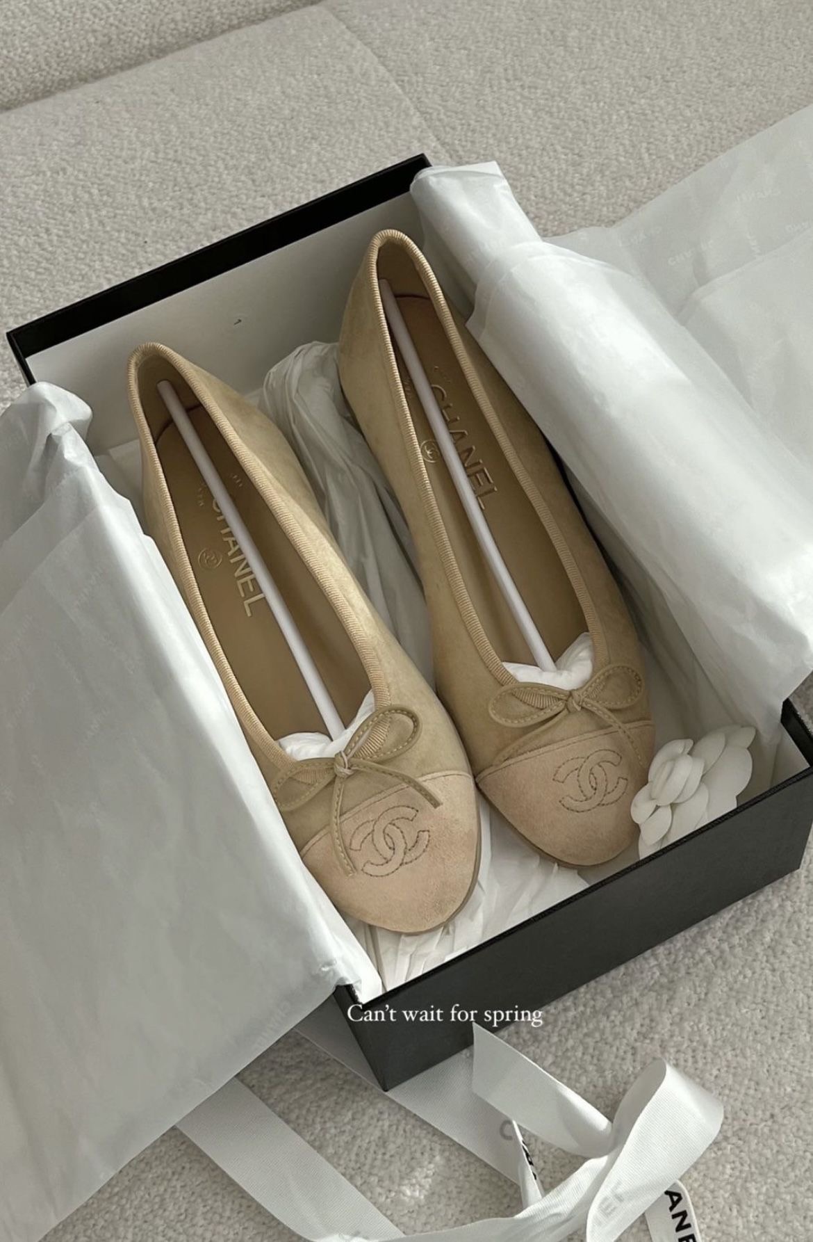 IMG_8614-1-1.jpg Chanel Ballet Flat - الصورة 1