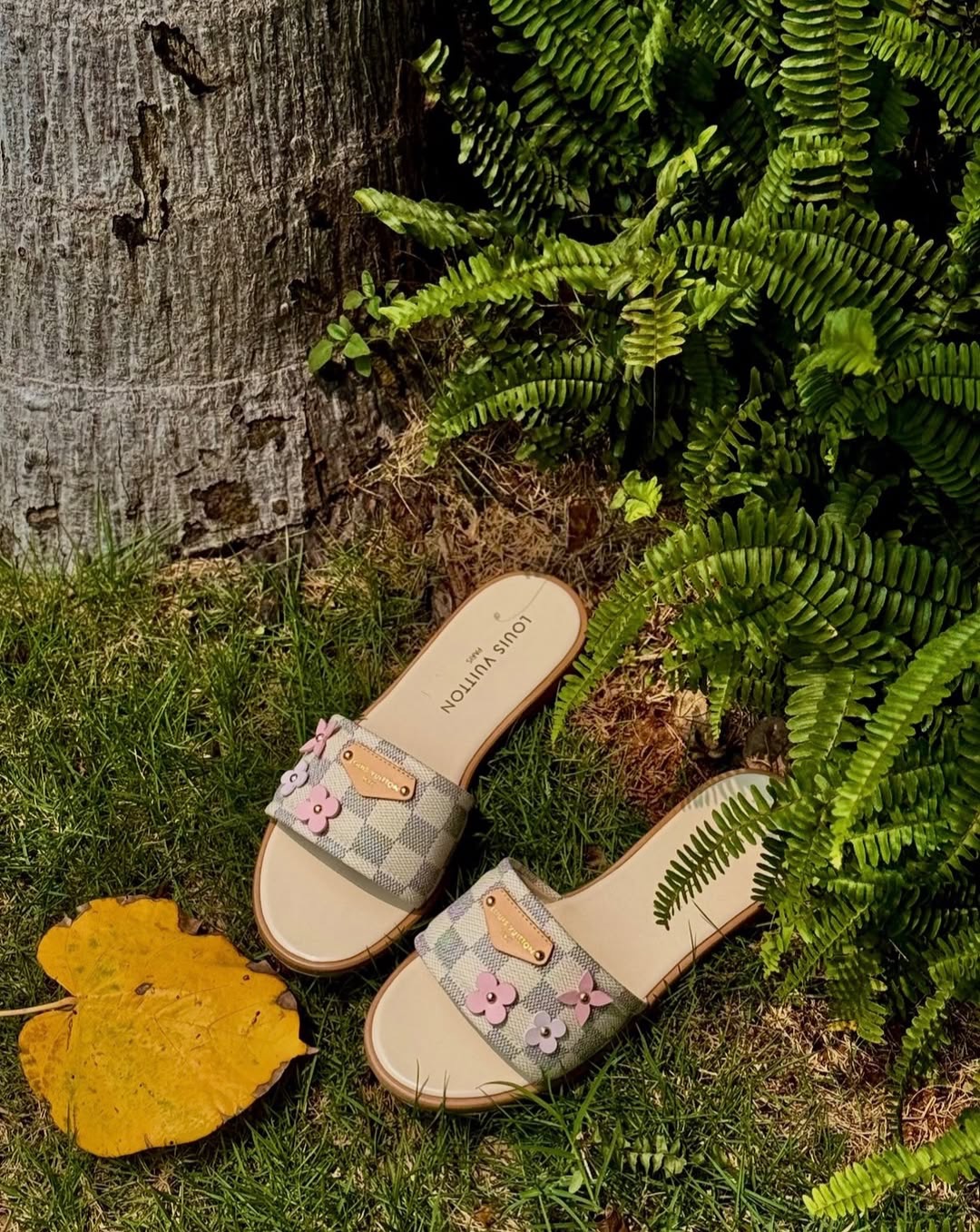 Panda-in-1779051876421-1.jpg Louis Vuitton Lily Flat Mule Slipper - الصورة 1
